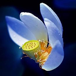 Steam最新一周销量榜 《战地6》《2042》双双入围